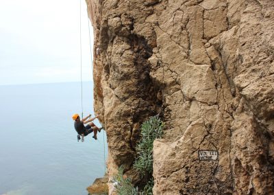 Supply chain capabilities, risks, and resilience